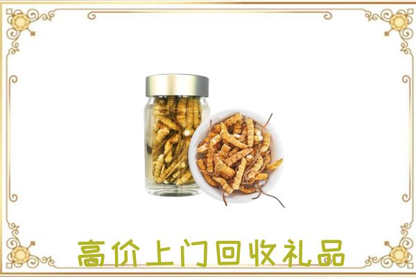 务川周边回收虫草